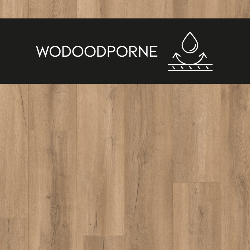 Panel laminowany Dąb Sękaty - 88297