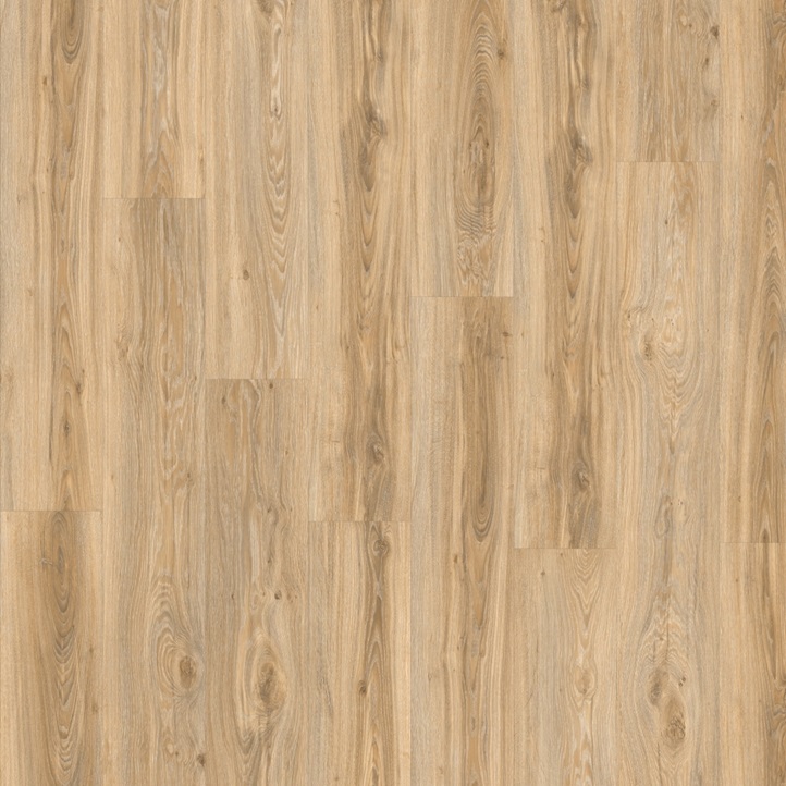 MODULEO TRANSFORM Blackjack Oak 22220