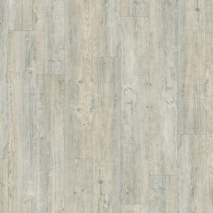 MODULEO TRANSFORM Latin Pine 24242
