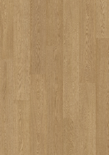 L0339-04295 DĄB SZTOKHOLMSKI ARENDAL STOCKHOLM OAK