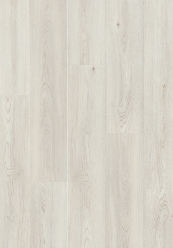 L0345-04998 DĄB SÓL MORSKA STAVANGER SEASALT OAK