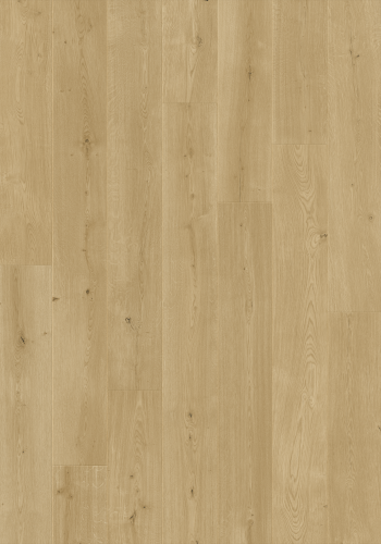L0263-06795 DĄB PRZEJRZYSTY ODENSE CLEAR OAK