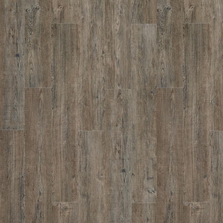 MODULEO TRANSFORM Latin Pine 24868