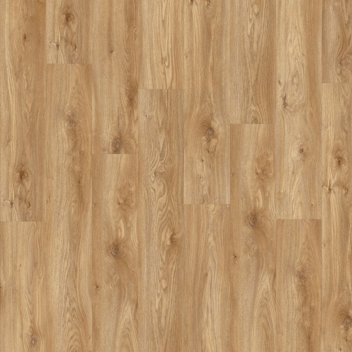 MODULEO IMPRESS Sierra Oak 58346