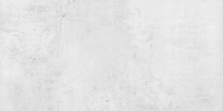 Płytki Bergen White Light Mat 60×30