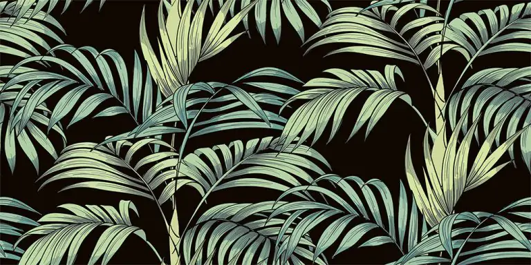 Bosque Negro Mat 60×30