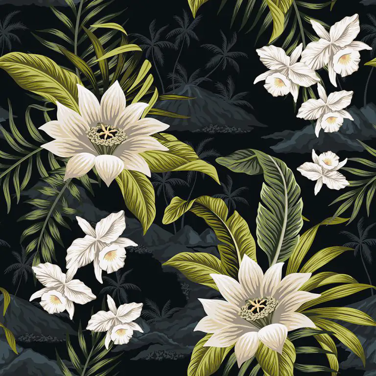 Contini Bokema 60×60