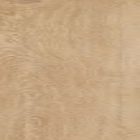 Płytki Heartwood Honey Gres Szkl. Rekt. Struktura Mat.