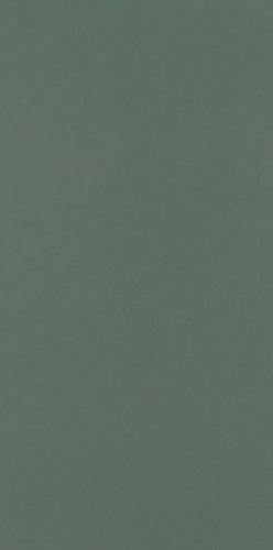 Płytki Neve Creative Dark Green Ściana Mat