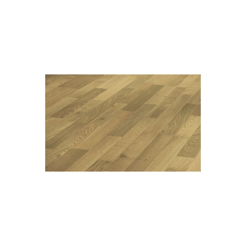 Dąb naturalny struktura drewna 1601437