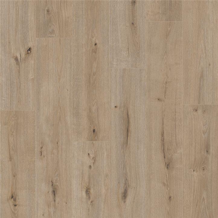 DĄB IRLANDZKI SZARY WINYL - GLOMMA PRO | V3531-40184