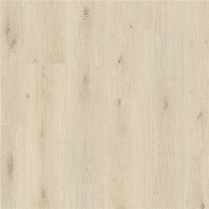 DĄB KLIFOWY, PERGO - MANDAL PRO | L0247-05027