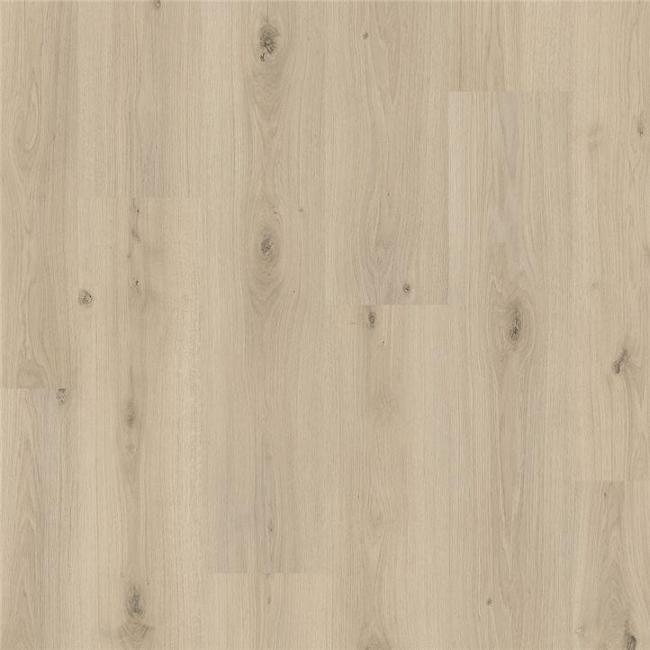 DĄB MGLISTY PERGO - MANDAL | L0347-05024