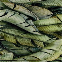 Płytki Uniwersalne Inserto Szklane Leaf B