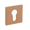Zestaw rozet 4049 5SQ PVD - obrazek 2