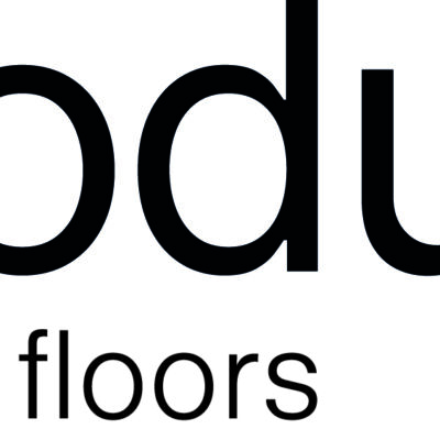 Moduleo_Logo update 2022_ZW