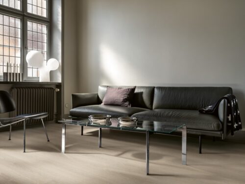 Dąb Norweski Kredowy